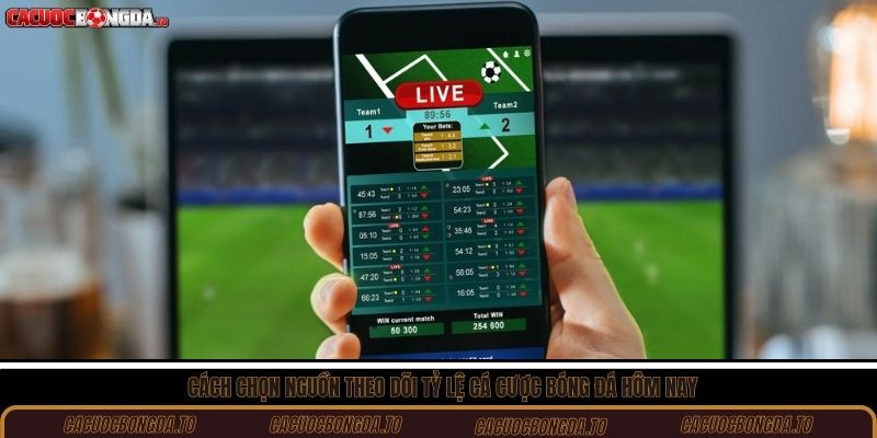 Cách chọn nguồn theo dõi tỷ lệ cá cược bóng đá hôm nay