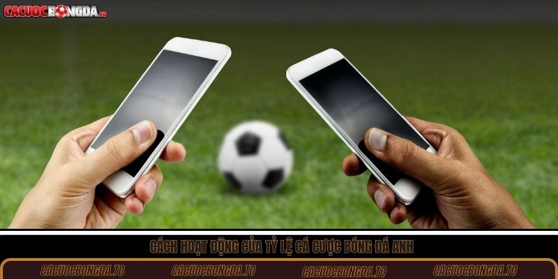 Cách hoạt động của tỷ lệ cá cược bóng đá Anh