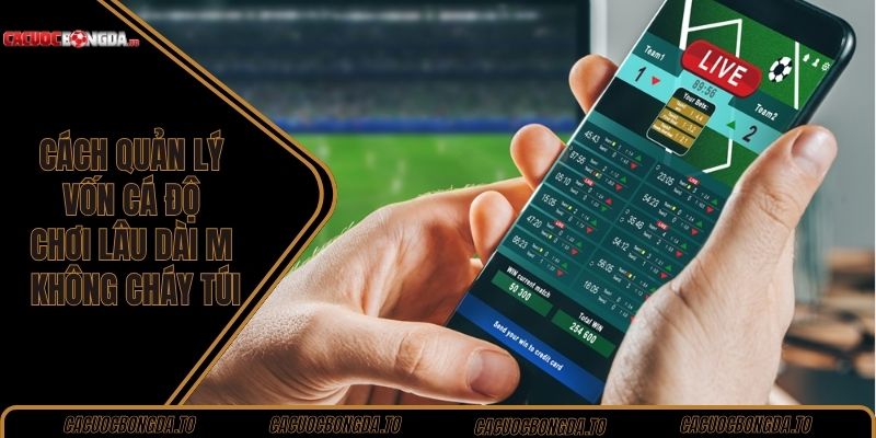 Cách quản lý vốn cá độ