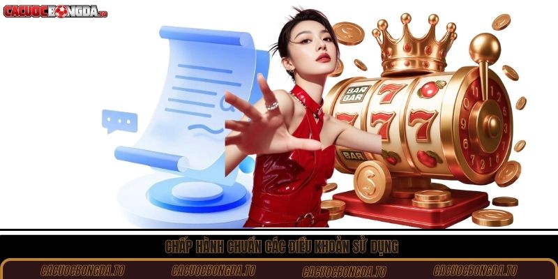 Chấp hành chuẩn các điều khoản sử dụng