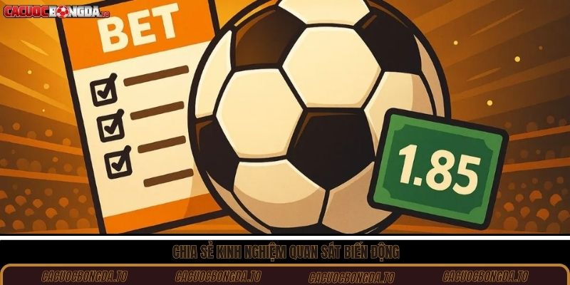 Chia sẻ kinh nghiệm quan sát biến động 