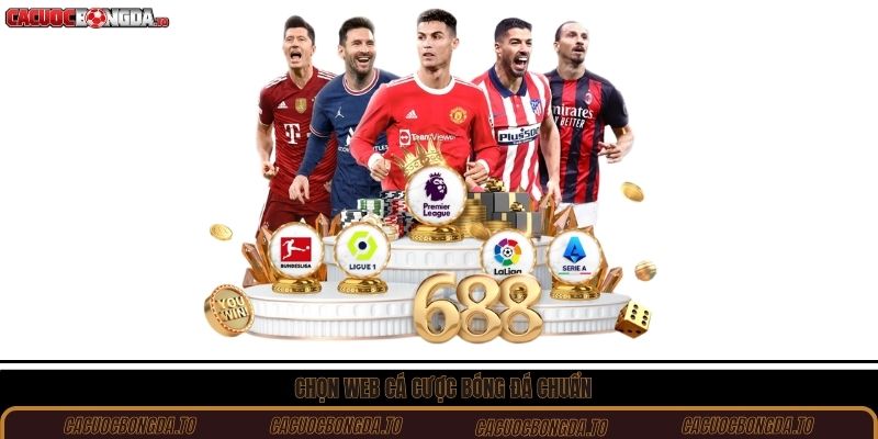 Chọn web cá cược bóng đá chuẩn