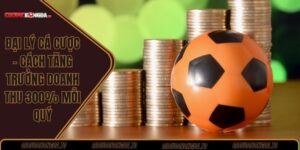 Đại lý cá cược