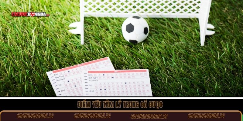 Điểm yếu tâm lý trong cá cược