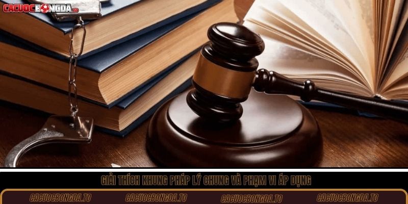 Giải thích khung pháp lý chung và phạm vi áp dụng