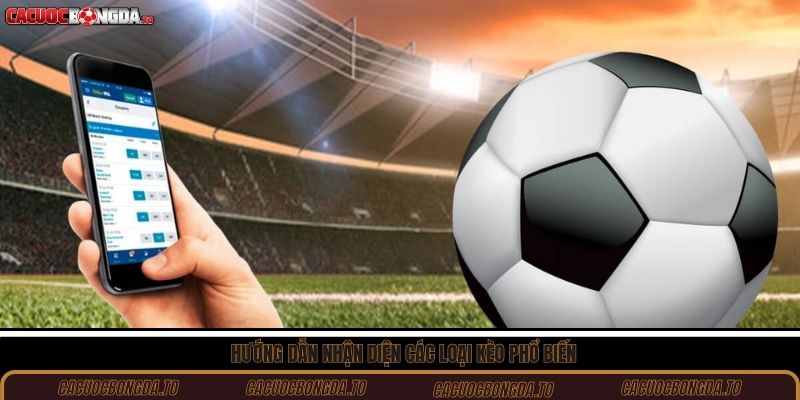 Hướng dẫn nhận diện các loại kèo phổ biến