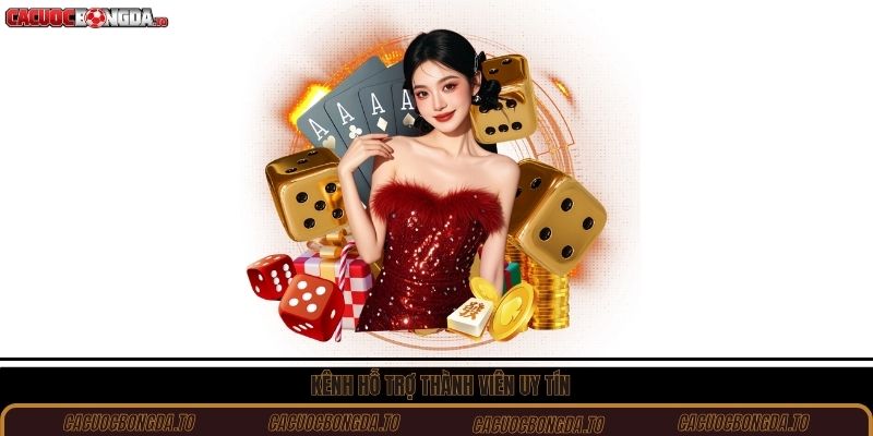 Kênh hỗ trợ thành viên uy tín