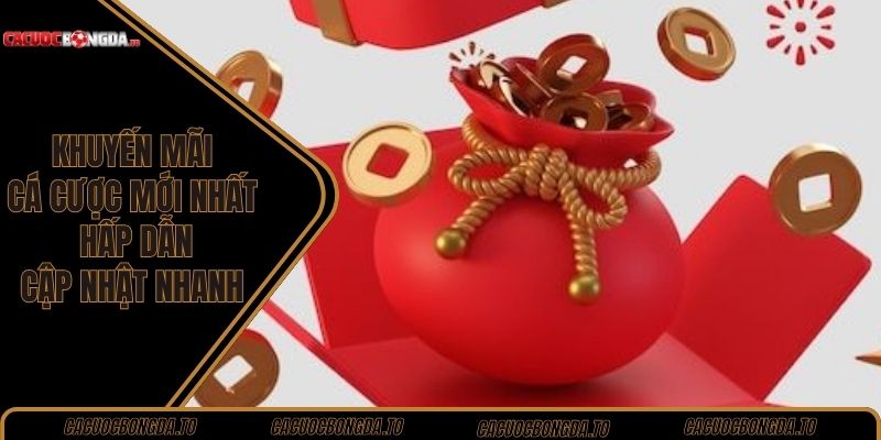 Khuyến mãi cá cược mới nhất