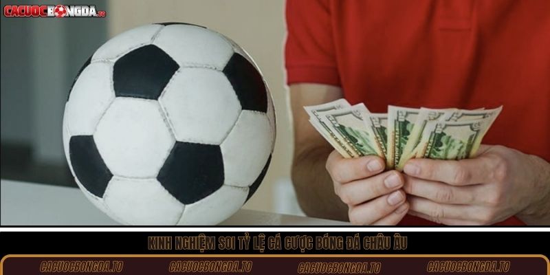 Kinh nghiệm soi tỷ lệ cá cược bóng đá Châu Âu