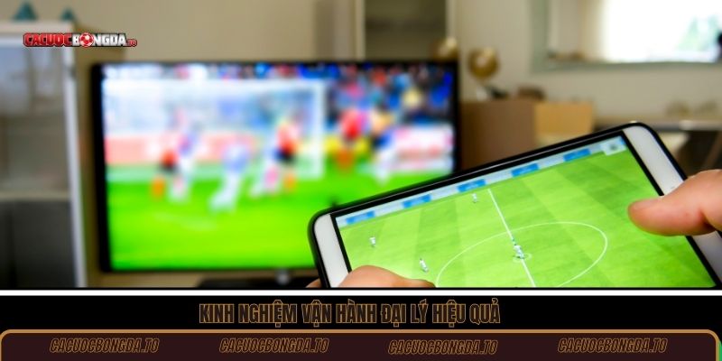 Kinh nghiệm vận hành đại lý hiệu quả