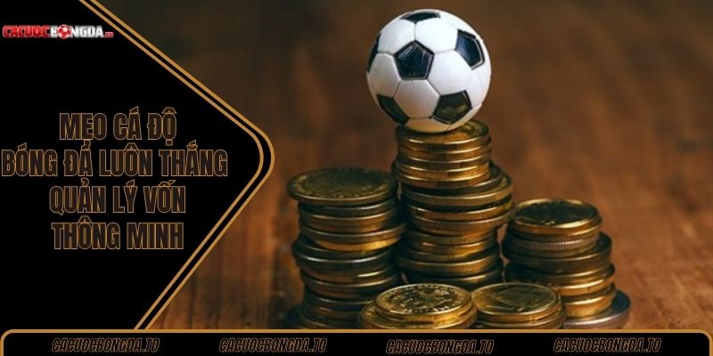 Mẹo cá độ bóng đá luôn thắng