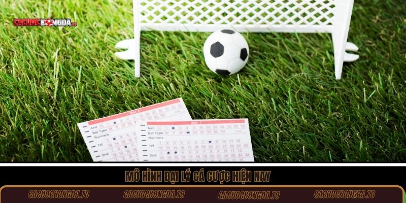 Mô hình đại lý cá cược hiện nay