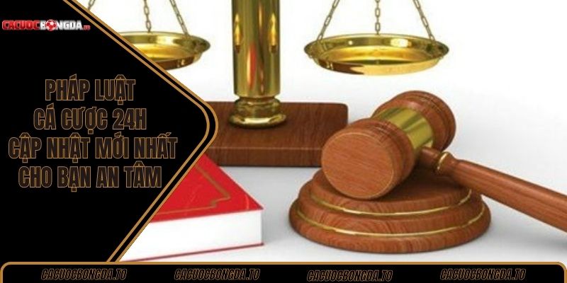pháp luật cá cược 24h
