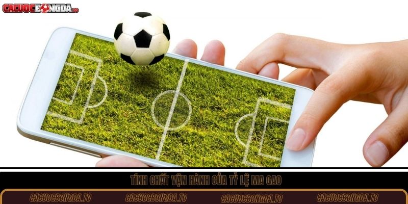 Tính chất vận hành của tỷ lệ Ma Cao