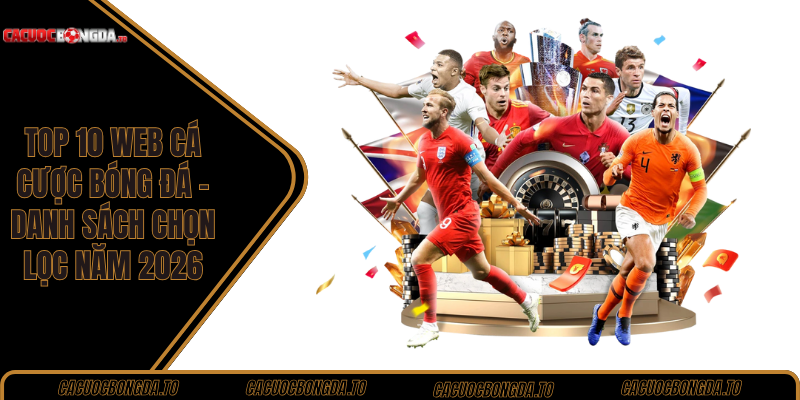 Top 10 web cá cược bóng đá