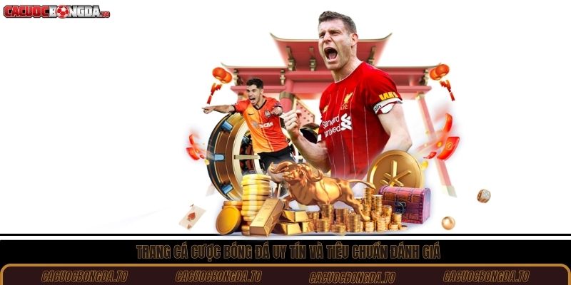 Trang cá cược bóng đá uy tín và tiêu chuẩn đánh giá