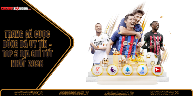Trang cá cược bóng đá uy tín