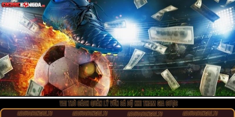 Vai trò cách quản lý vốn cá độ khi tham gia cược