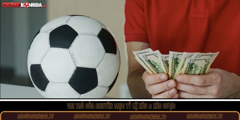 Vai trò của chuyên mục tỷ lệ kèo & kèo cược