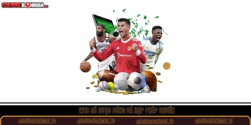 Web cá cược bóng đá hợp pháp chuẩn